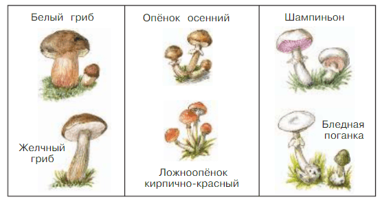 Задание рисунок 1