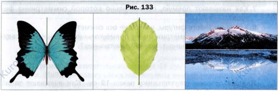 Примеры симметрии в природе